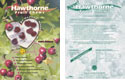 hawthorn fruit chews