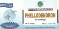 phellodendron tea