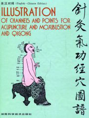 Treatment of AIDS With Traditional Chinese Medicine